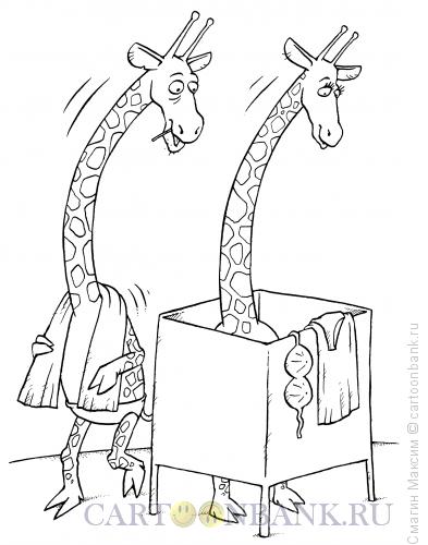 Карикатура: Жирафы на пляже, Смагин Максим