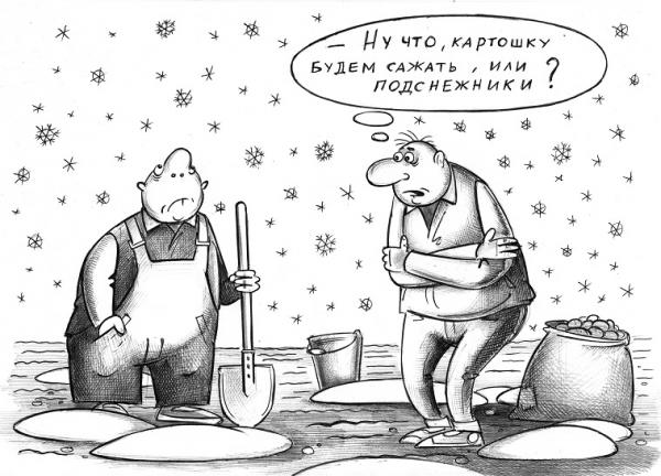 Карикатура: Что сажать?, Сергей Корсун