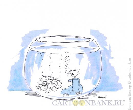 Карикатура: Октябрь в аквариуме, Богорад Виктор