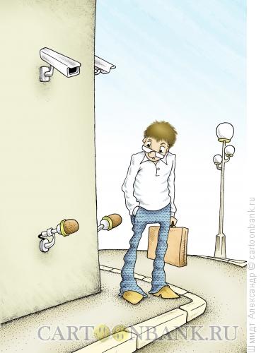 Карикатура: Система наружного слежения, Шмидт Александр
