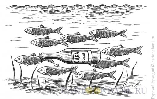 Карикатура: рыбы и бутылка, Гурский Аркадий