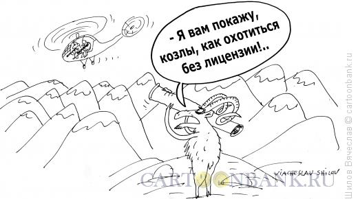 Карикатура: Козлы, Шилов Вячеслав