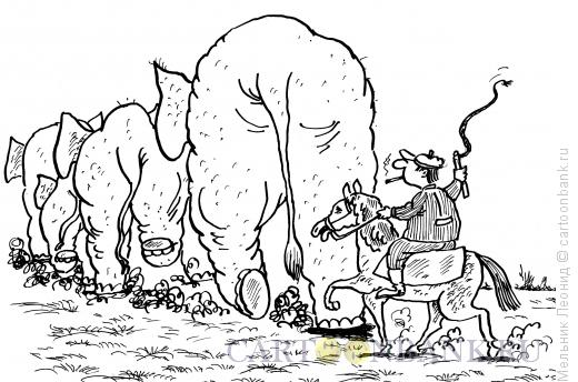 Карикатура: Пастух, Мельник Леонид