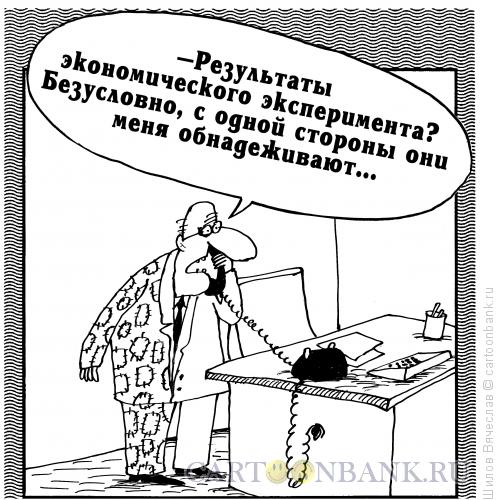 Карикатура: Экономический эксперимент, Шилов Вячеслав