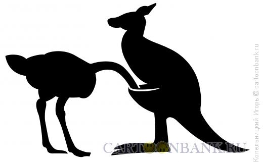 Карикатура: страус и кенгуру, Копельницкий Игорь