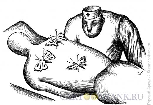 Карикатура: бабочки на спине, Гурский Аркадий