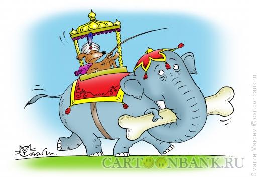 Карикатура: Моська на слоне, Смагин Максим