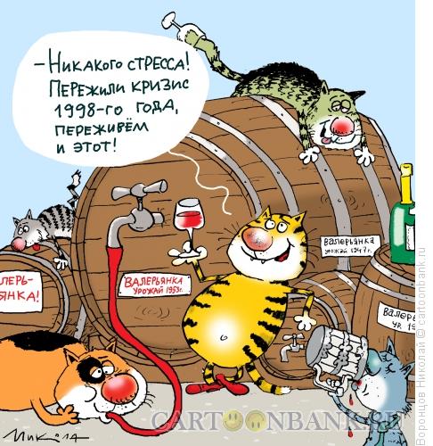 Карикатура: И этот кризис переживем, Воронцов Николай