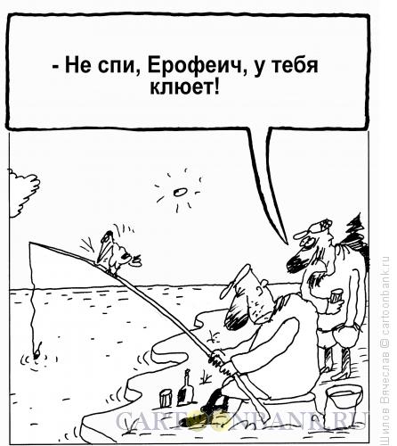 Карикатура: Дятел, Шилов Вячеслав