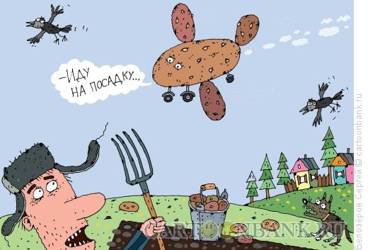 Карикатура: Картофель, Белозёров Сергей