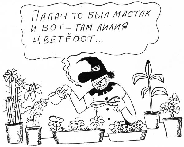 Карикатура: Там лилии цветут, Петров Александр