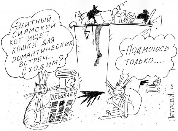 Карикатура: Коты и кошки, Петров Александр