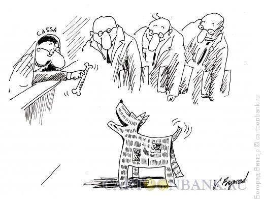 Карикатура: Шавка, Богорад Виктор