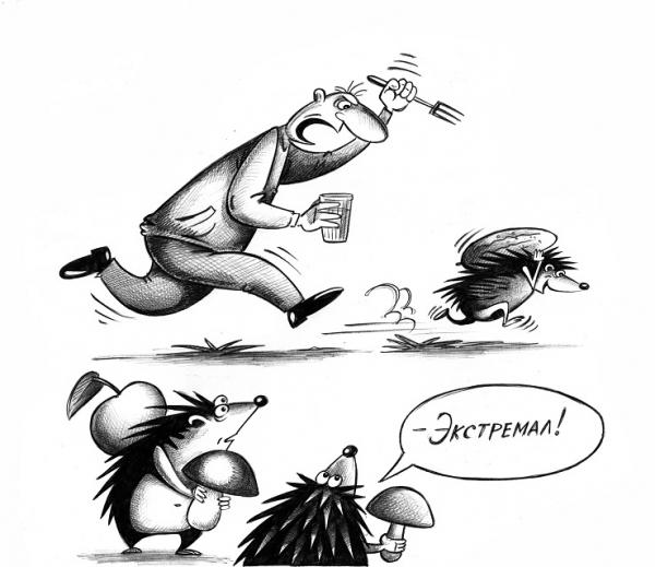 Карикатура: Экстремал, Сергей Корсун