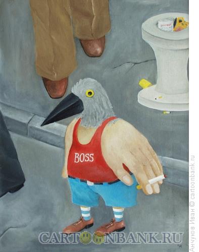 Карикатура: птицы на асфальте, Анчуков Иван