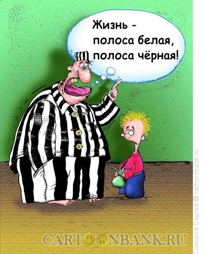 Карикатура: зебра, Соколов Сергей