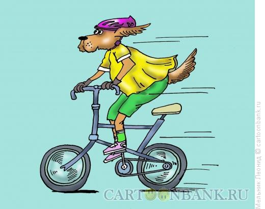 Карикатура: Собака- велосипедист, Мельник Леонид