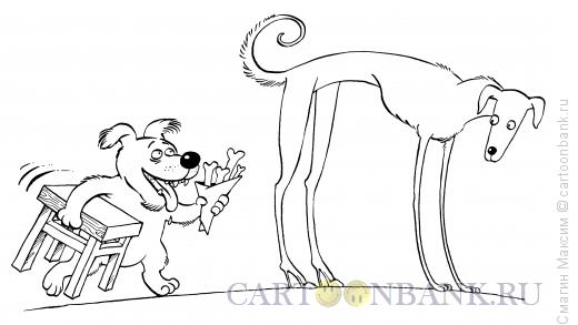 Карикатура: Собачьи ухаживания, Смагин Максим