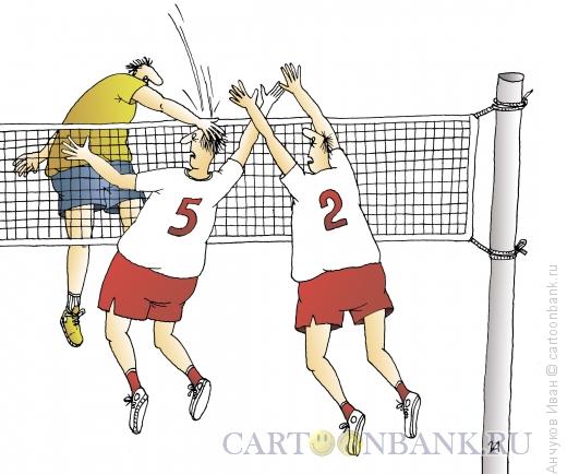 Карикатура: волейбол, Анчуков Иван