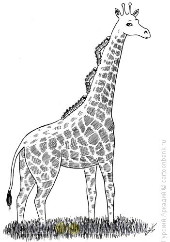 Карикатура: жираф с гусеницами, Гурский Аркадий