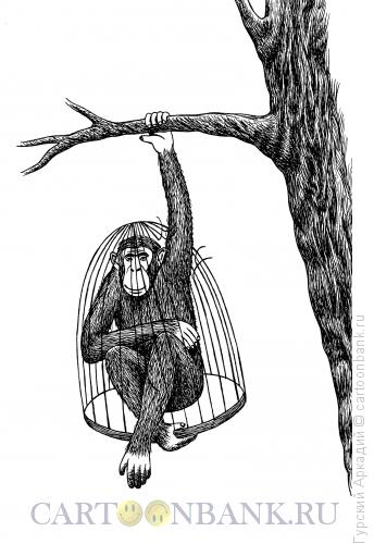Карикатура: обезьяна в клетке, Гурский Аркадий