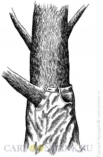 Карикатура: дерево в джинсах, Гурский Аркадий