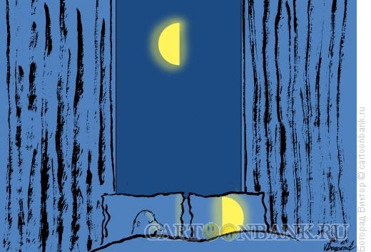 Карикатура: Ночная пара, Богорад Виктор