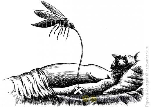 Карикатура: комар-капельница, Гурский Аркадий