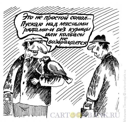 Карикатура: Соколик, Мельник Леонид