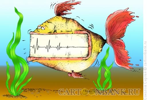 Карикатура: рыба жизни, Соколов Сергей