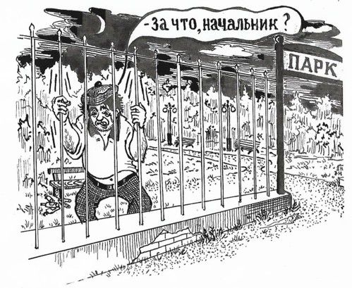 Карикатура: За что, начальник?, Зеркаль Николай Фомич