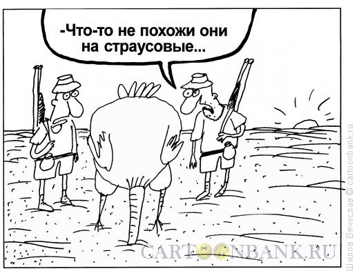 Карикатура: Страусовые яйца, Шилов Вячеслав