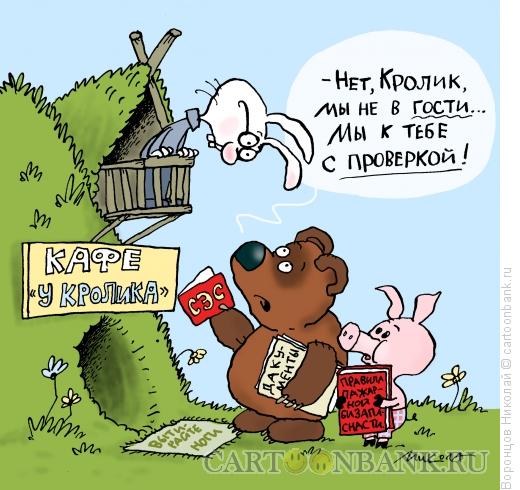 Карикатура: Проверка, Воронцов Николай