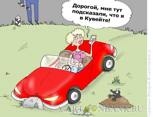 Карикатура: Кювет, Тарасенко Валерий