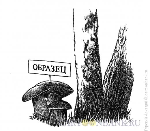 Карикатура: грибы, Гурский Аркадий