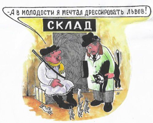 Карикатура: Несбывшаяся мечта, Зеркаль Николай Фомич