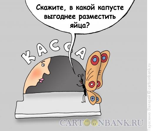 Карикатура: Капустница, Тарасенко Валерий