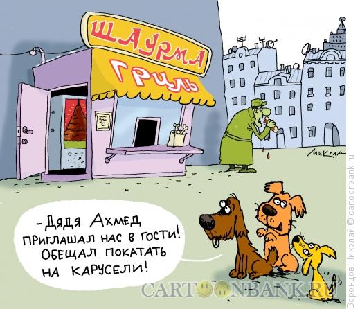 Карикатура: Шаурма, Воронцов Николай