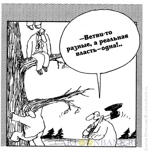 Карикатура: Реальные ветви власти, Шилов Вячеслав