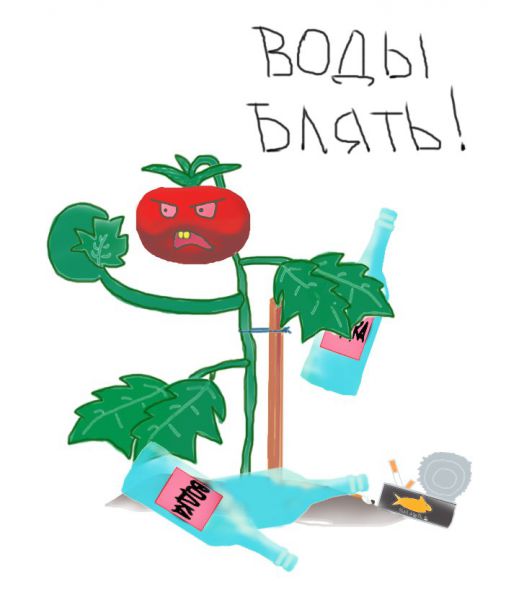 Карикатура: О дачной поливке помидор, SibRusich