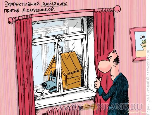 Карикатура: Лайфхак, Воронцов Николай
