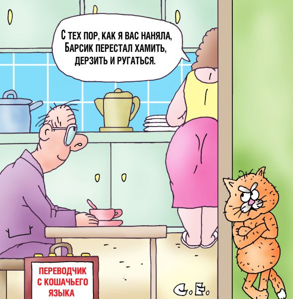Карикатура: Переводчик с кошачьего, Сергей Ермилов