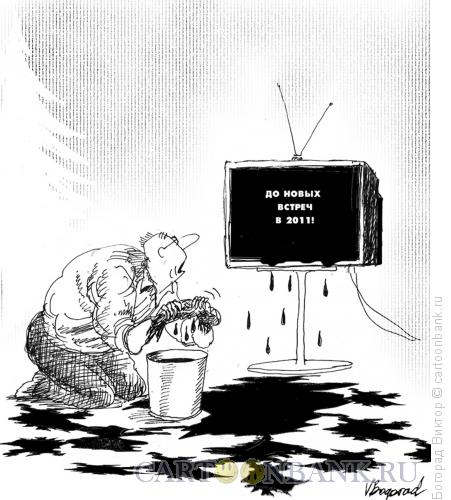 Карикатура: До новых встреч в 2011, Богорад Виктор