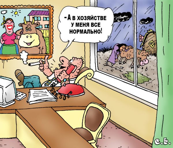 Карикатура: В хозяйстве все нормально, Ермилов Сергей