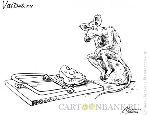 Карикатура: Бесплатный сыр и МЫШлитель, Дубинин Валентин