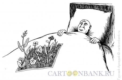 Карикатура: одеяло с растениями, Гурский Аркадий