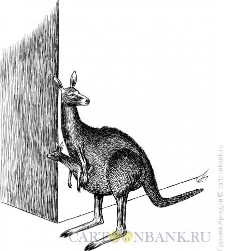 Карикатура: кенгуру, Гурский Аркадий