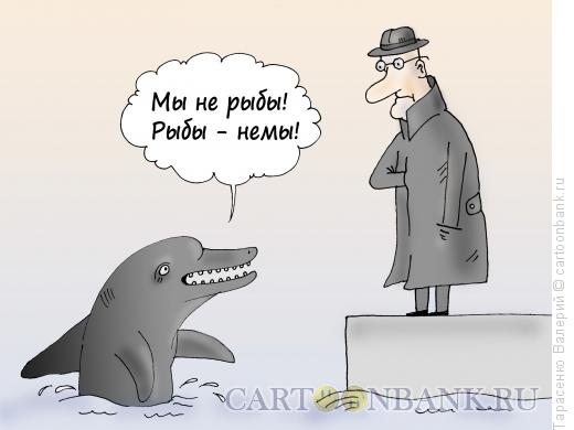 Карикатура: В дельфинарии, Тарасенко Валерий
