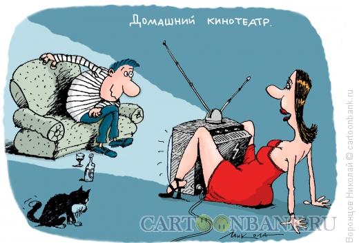 Карикатура: Стриптиз ТВ, Воронцов Николай