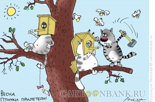 Карикатура: Весна пришла, Воронцов Николай